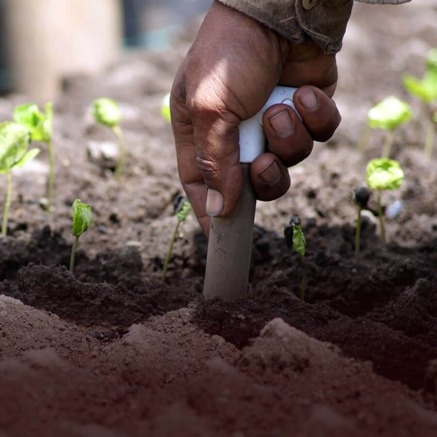 Our Story - Makondo Coffee