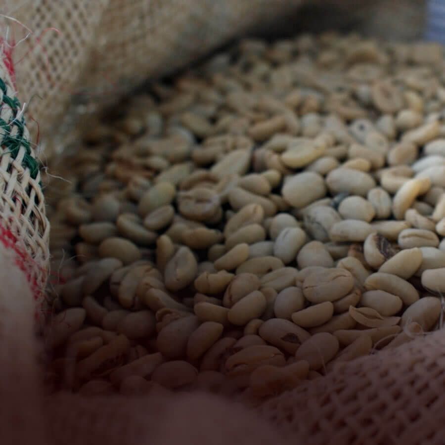 Wholesales - Makondo Coffee