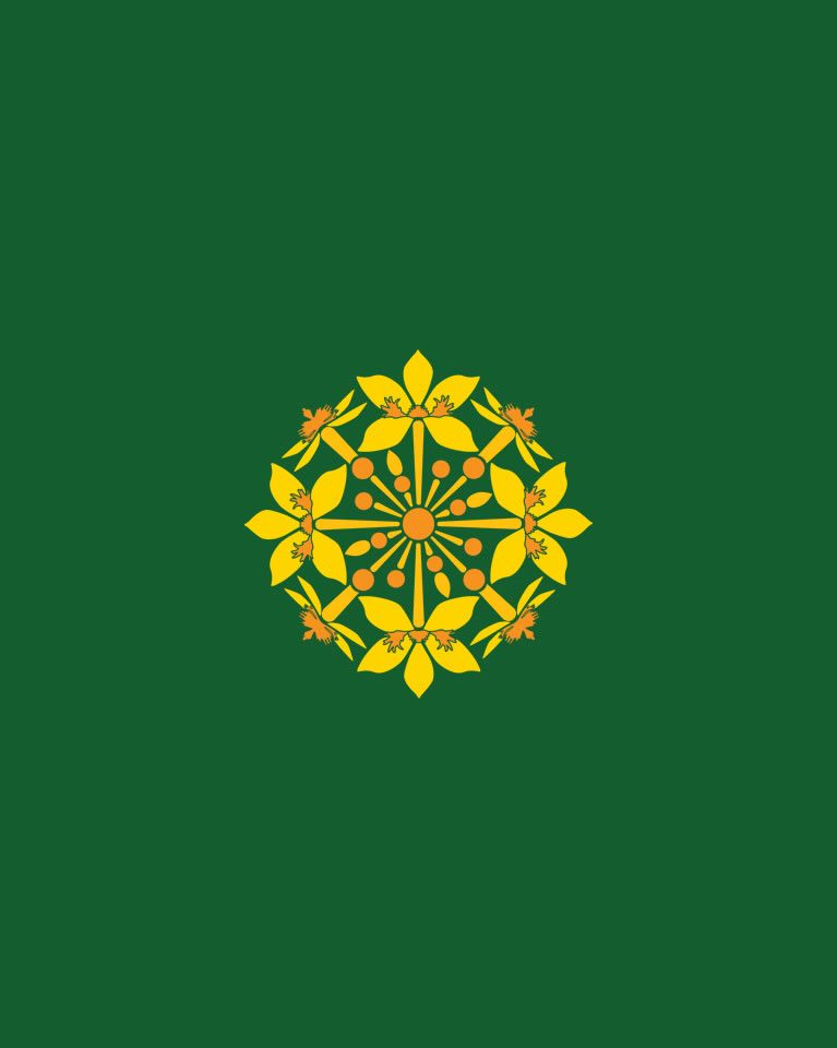 Corporación San Jorge - Sitio web personalizado